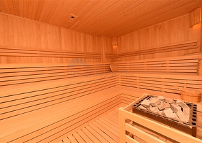 Apartment 1+1 in the middle of a coniferous grove