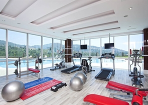 Furnished 3+1 penthouse in Kargicak.