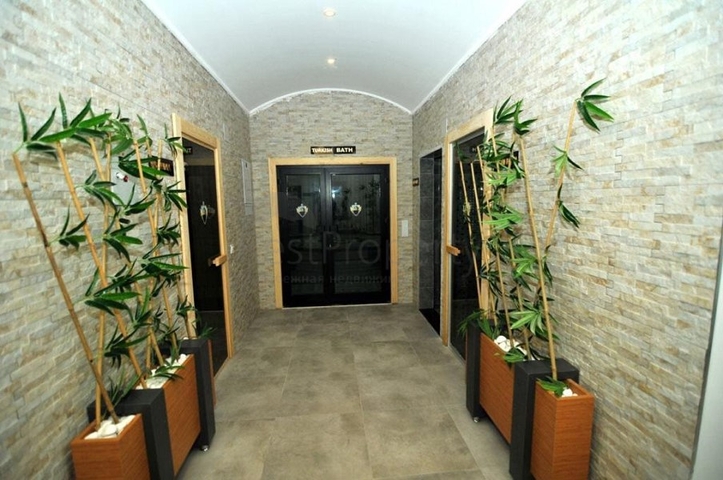 Cozy 1+1 apartment in Kestel district