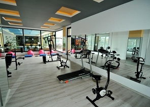 Cozy 1+1 apartment in Kestel district