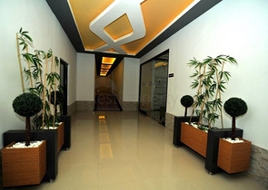 Cozy 1+1 apartment in Kestel district