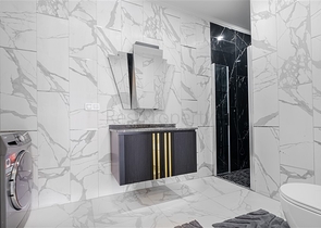 Three-bedroom penthouse with designer renovation