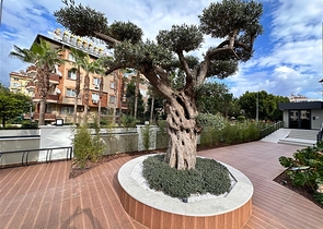 1+1 apartment in a new complex just 400 m from the sea in the center of Alanya 