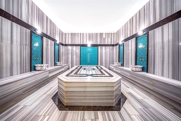 Furnished 2+1 Apartment for Rent in Mahmutlar Alanya