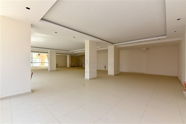 Commercial premises of a large area in the lower part