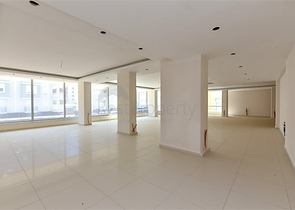 Commercial premises of a large area in the lower part