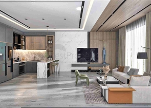 Investment project in the Altyntas - Antalya area 