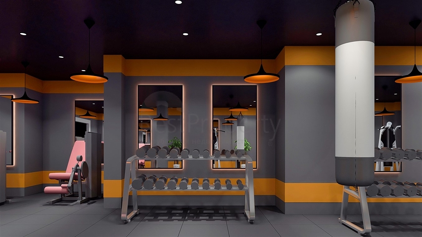 Investment project in the Altyntas - Antalya area 