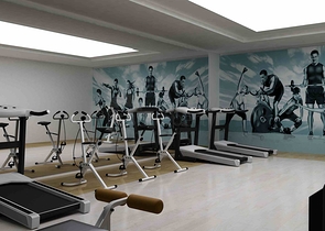 Investment project in the Altyntas - Antalya area 