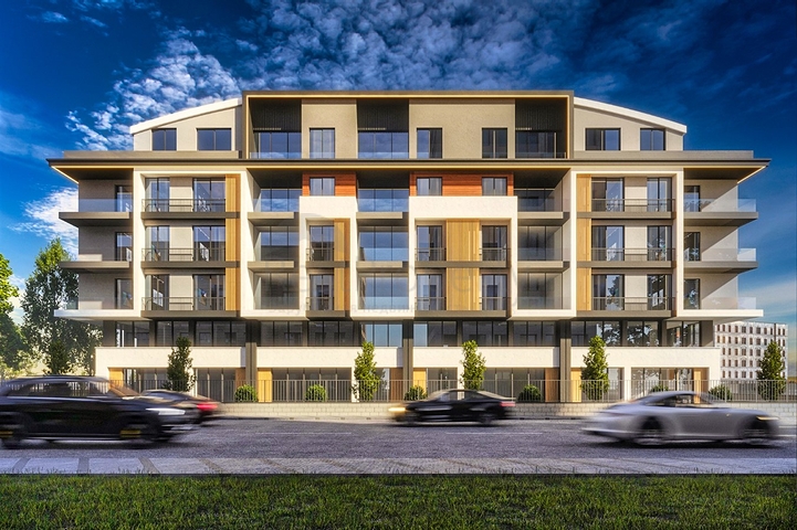 INVESTMENT PROJECT IN PERSIMMON - KONYAALTI