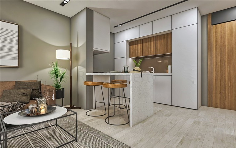 Investment project in the Altyntas - Antalya area 