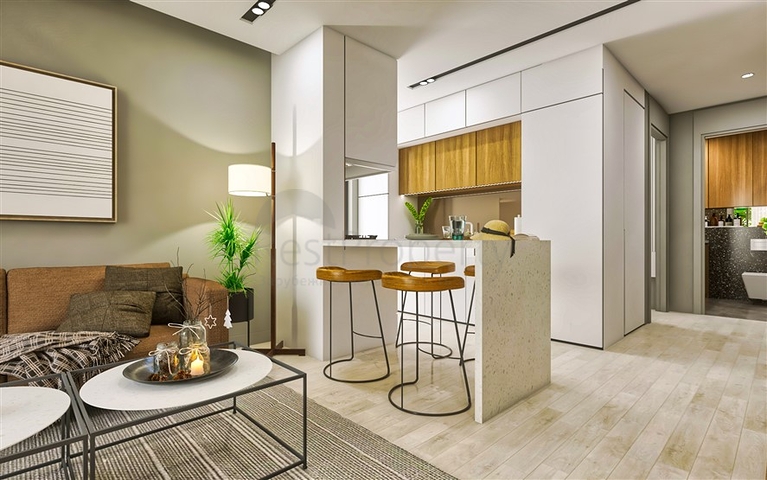 Investment project in the Altyntas - Antalya area 