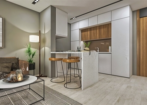 Investment project in the Altyntas - Antalya area 