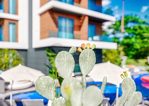 Investment project in the Altyntas - Antalya area 