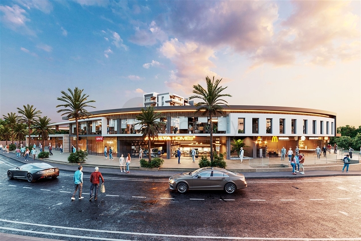 Investment project in the Altyntas - Antalya area 