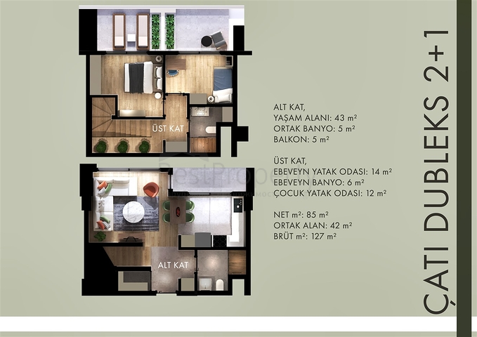 Investment project in the Altyntas - Antalya area