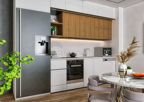 Investment project in the Altyntas - Antalya area 