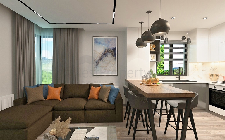 Investment project in the Altyntas - Antalya area 