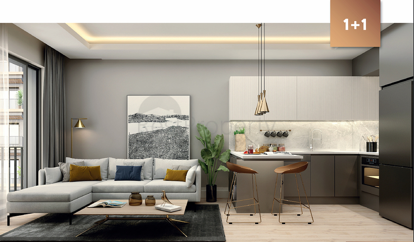 Investment project in the Altyntas - Antalya area