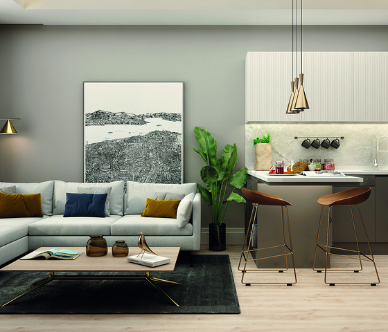 Investment project in the Altyntas - Antalya area