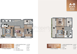 Investment project in the Altyntas - Antalya area