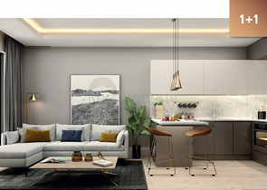 Investment project in the Altyntas - Antalya area