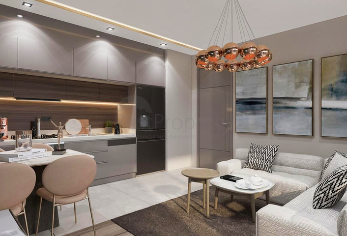 Investment project in the Altyntas - Antalya area 