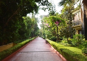 Apartments with access to the garden in the complex on the first line