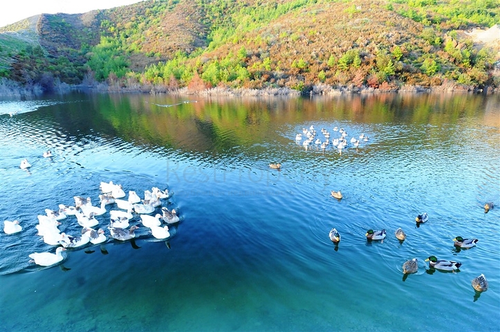 Luxury Apartment with direct sea views