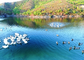 Luxury Apartment with direct sea views