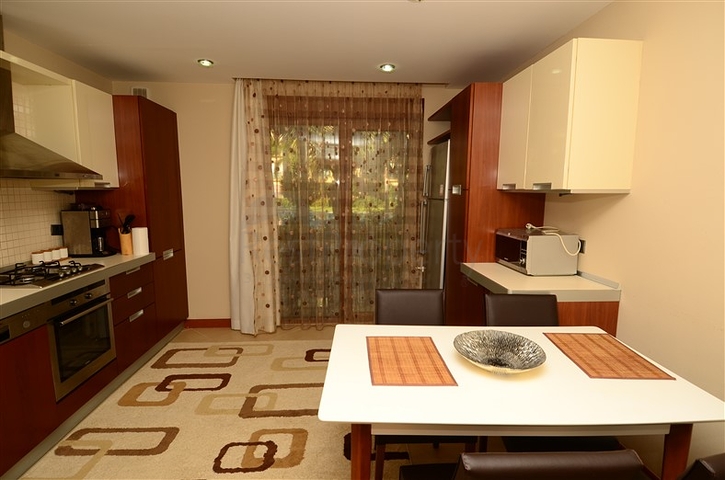 Apartment  with garden for rent