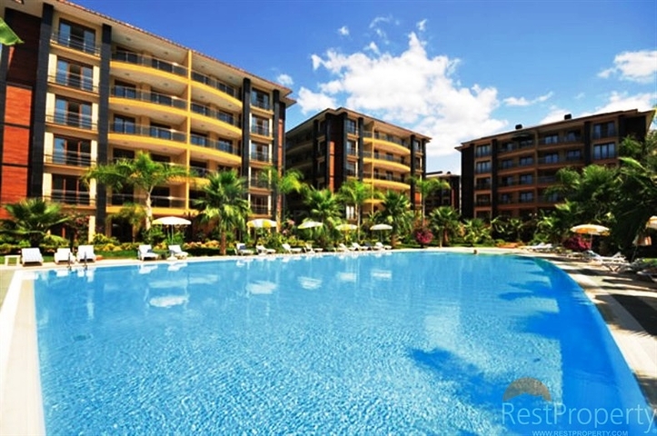 Apartments on the first line for rent