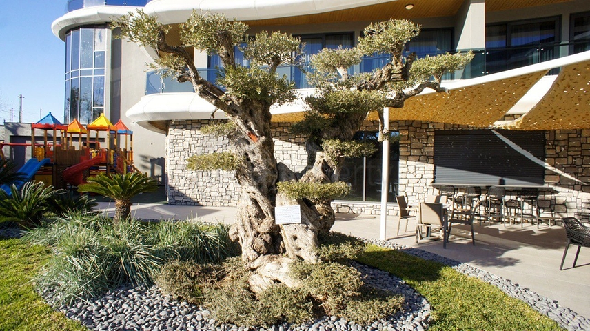 Own Amazing Beachfront Home in Kargicak District / Alanya 