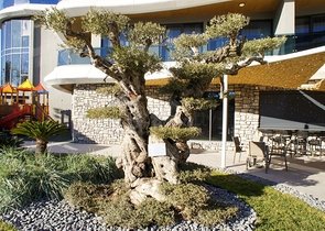 Own Amazing Beachfront Home in Kargicak District / Alanya 