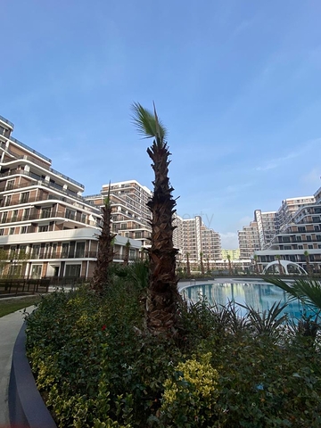 Make your dreams a reality - invest now in Istanbul 