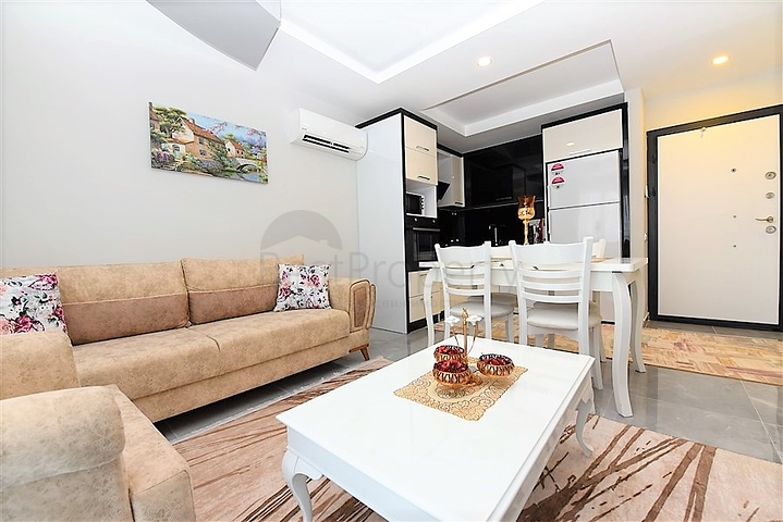 Furnished 1+1 apartment in a new complex 