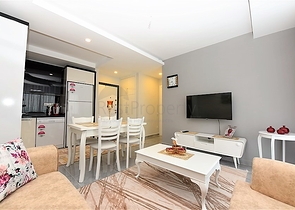 Furnished 1+1 apartment in a new complex 