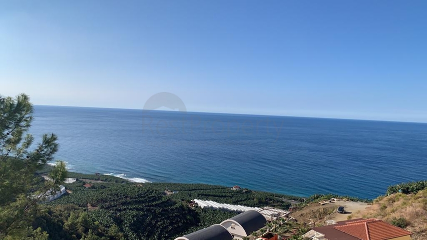 Private villa according to a design project