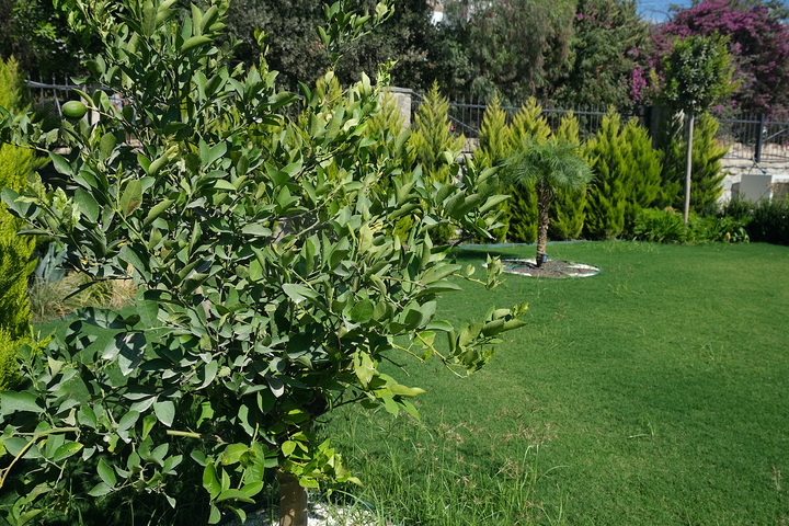 A unique residence in the Bodrum Peninsula! (Stage 2)