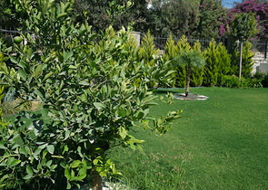 A unique residence in the Bodrum Peninsula! (Stage 2)