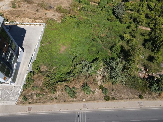 A new project on the famous Cleopatra beach