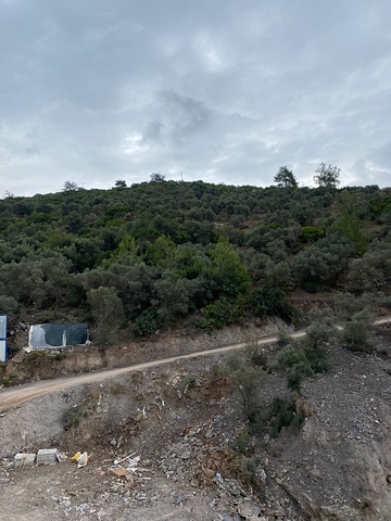 Unique Villas with Sea Views