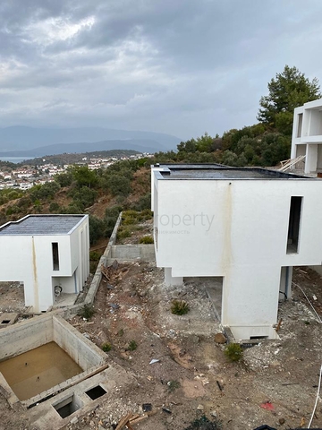 Wonderful Life in a Peninsula with Unique Nature