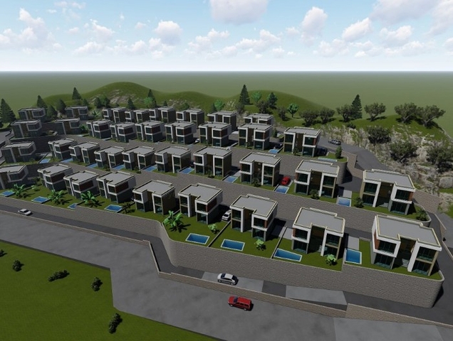 Wonderful Life in a Peninsula with Unique Nature