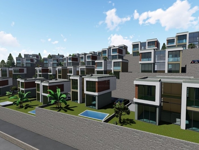 Wonderful Life in a Peninsula with Unique Nature