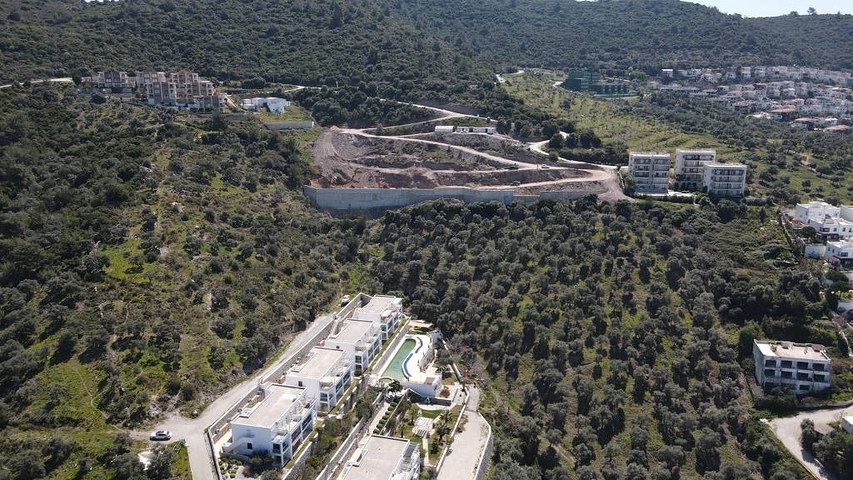 Wonderful Life in a Peninsula with Unique Nature