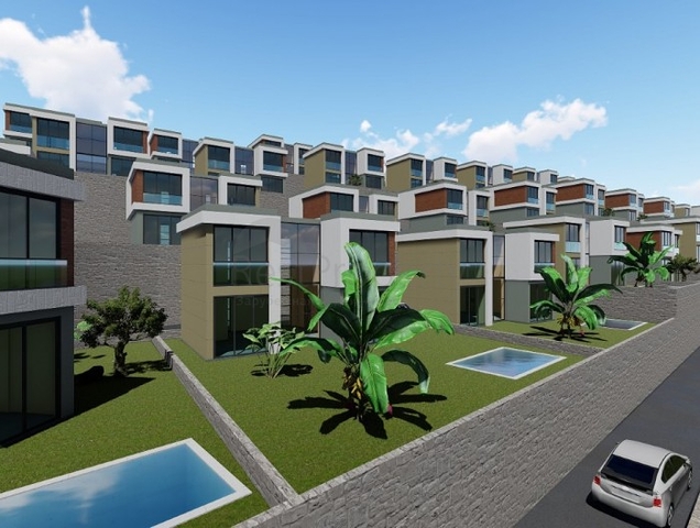 Wonderful Life in a Peninsula with Unique Nature