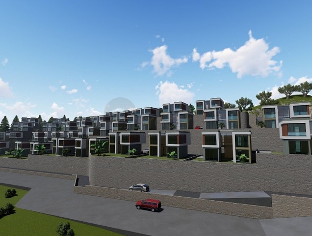 Wonderful Life in a Peninsula with Unique Nature