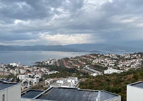 Wonderful Life in a Peninsula with Unique Nature