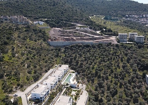 Wonderful Life in a Peninsula with Unique Nature